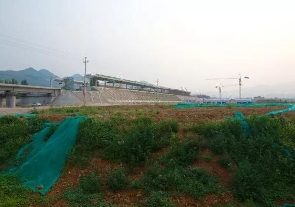 韩国成人直播