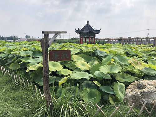 韩国成人直播