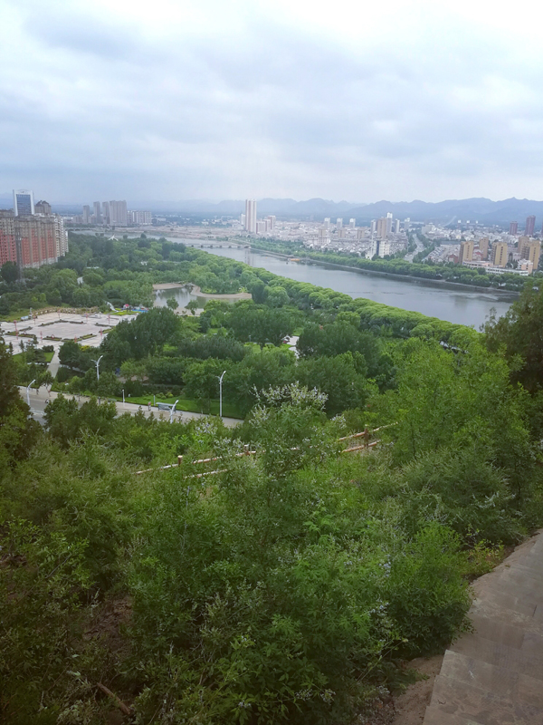 韩国成人直播
