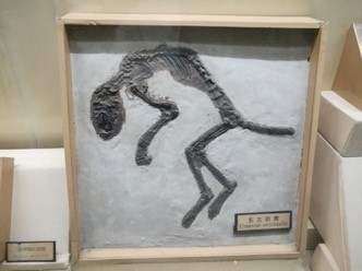 韩国成人直播