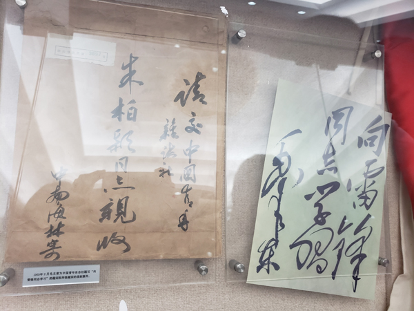 韩国成人直播