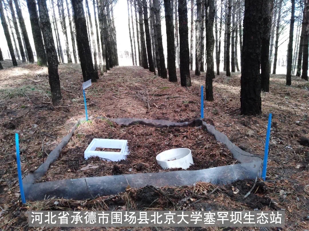 韩国成人直播