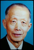 韩国成人直播