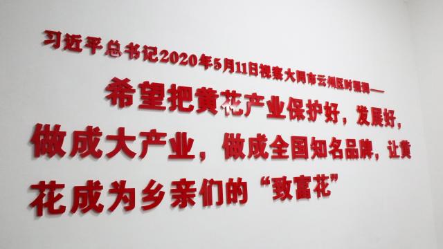 韩国成人直播