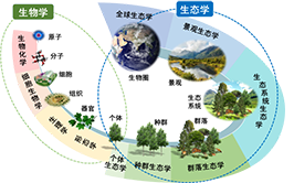 韩国成人直播