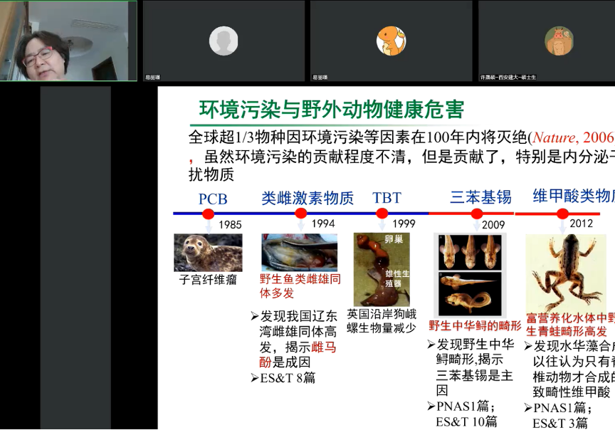 韩国成人直播