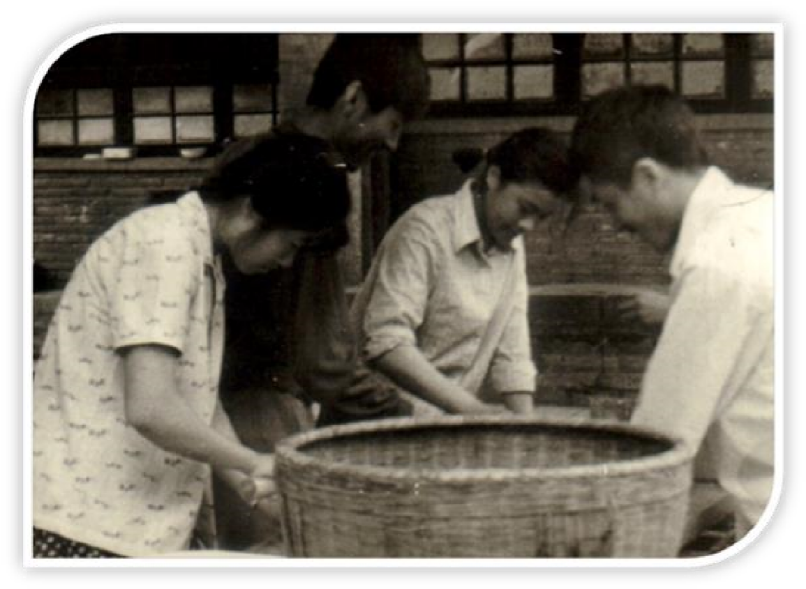韩国成人直播