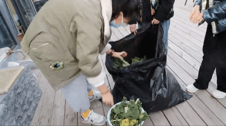 韩国成人直播