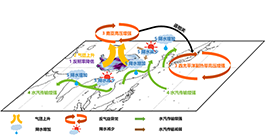 韩国成人直播