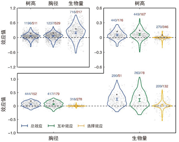 韩国成人直播