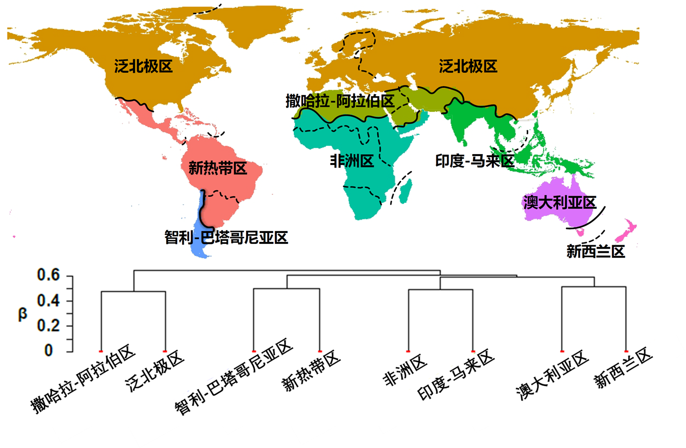 韩国成人直播