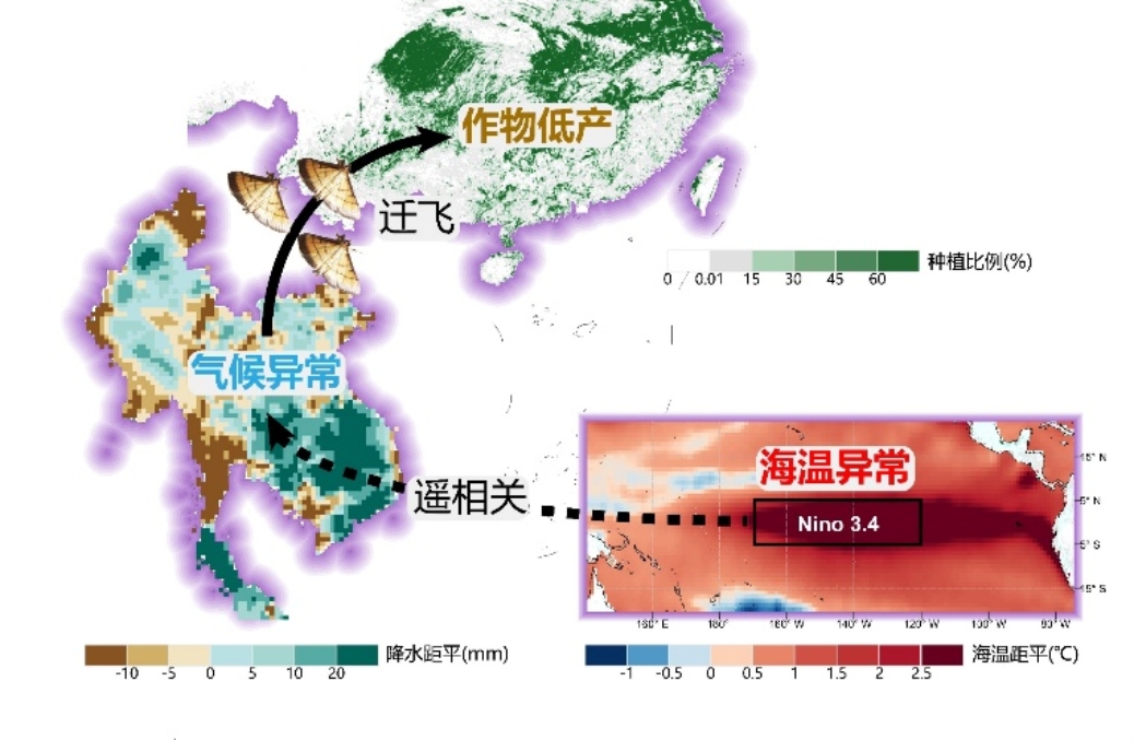 韩国成人直播